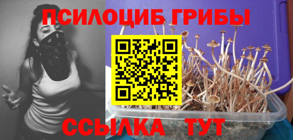 Каменск-Уральский  Галлюциногенные грибы ЛСД  Галлюциногенные грибы Psilocybe  Вход с VPN 